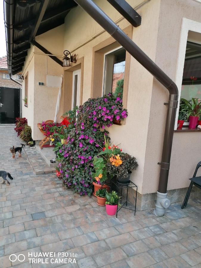 Rasnov Retreat Hotel Kültér fotó